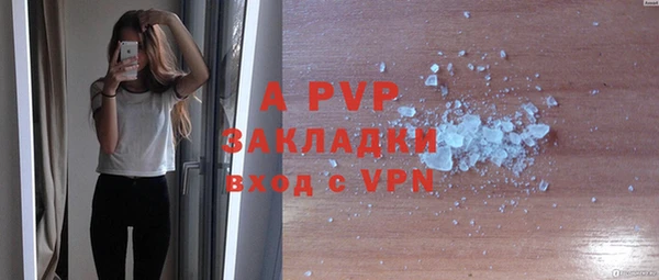 стафф Абаза