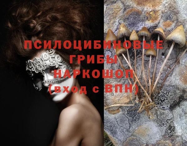 стафф Абаза