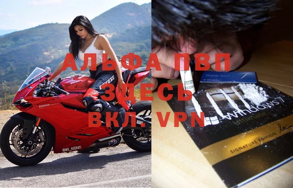 стафф Абаза