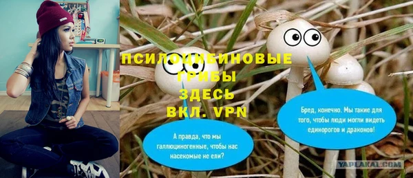 стафф Абаза