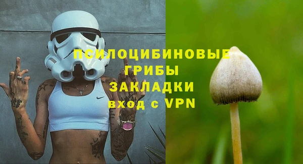 стафф Абаза